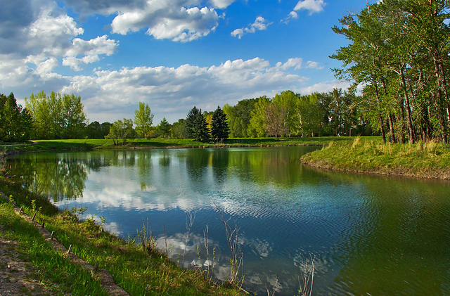 The 10 Most Family-Friendly Neighbourhoods in Calgary