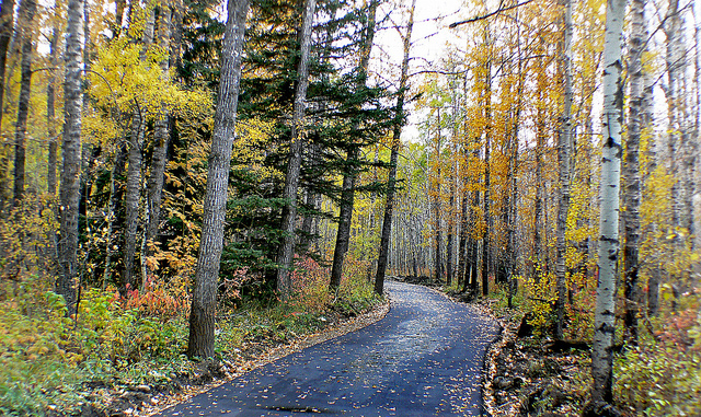 Trails located in Sherwood Calgary